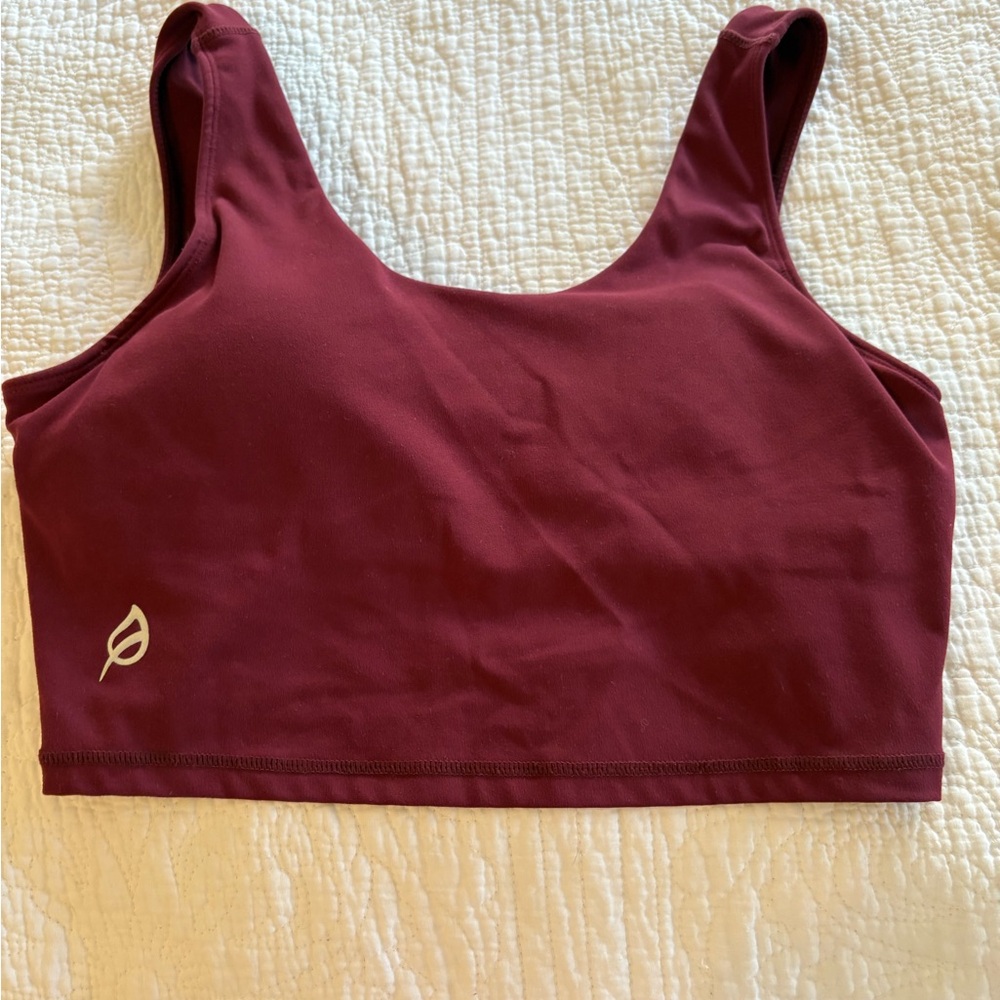 P'tula Burgundy Activewear Top